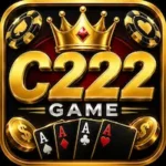 C222 Game