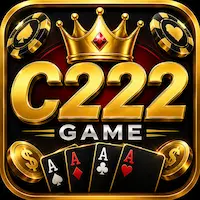 C222 Game